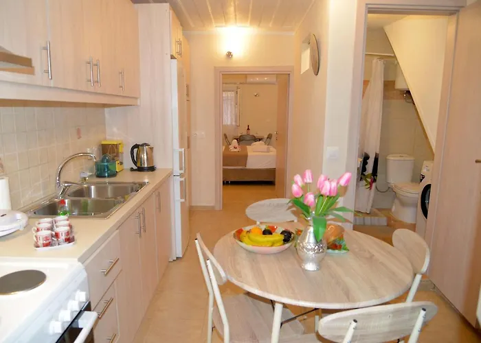 Andreas Elissaios House 別荘